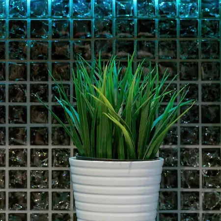 Horyzont Seaview By Rent Like * Miedzyzdroje